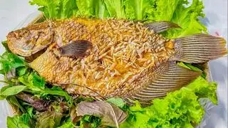 Hình ảnh Cá tai tượng chiên xù size vừa 1,4kg