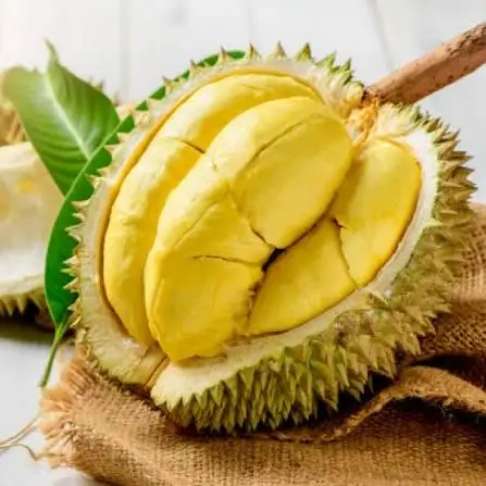 Hình ảnh Phúc Sầu Riêng 568 - Tân Hòa Đông