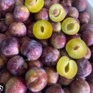Hình ảnh Mận seo tím 300gr