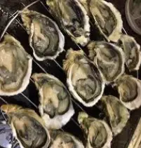 Hình ảnh Hàu nướng mọi