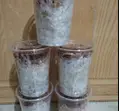 Hình ảnh Bánh tráng trộn chưa trộn