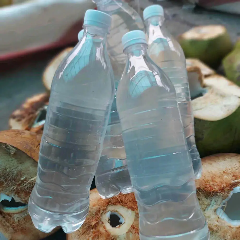 Hình ảnh Nước dừa chai 1 lít - 1 chai