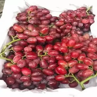 Hình ảnh Hộp Nho RuBy