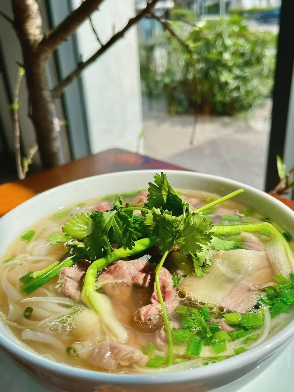 Hình ảnh Phở tái gầu