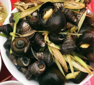 Hình ảnh Ốc lẫn luộc