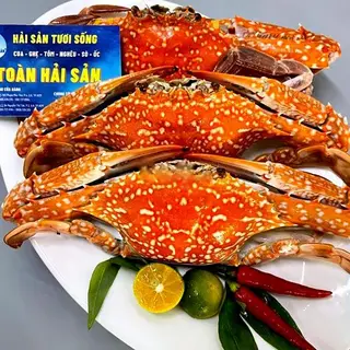 Hình ảnh Combo Ghẹ Xanh (Size M)
