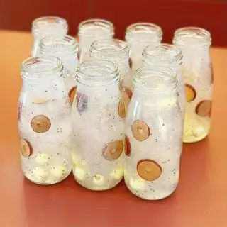 Hình ảnh Yến chưng táo đỏ đường phèn 75ml