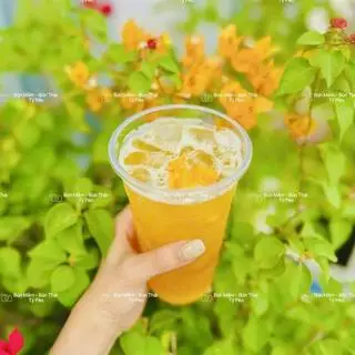 Hình ảnh Trà Xoài