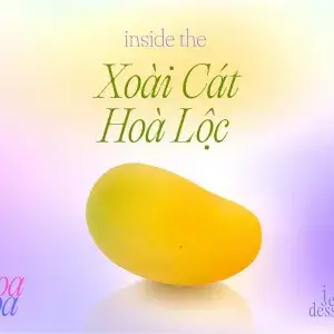 Hình ảnh Xoài Cát Hòa Lộc entremet