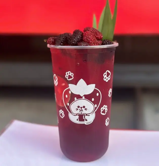 Hình ảnh Trà dâu tằm
