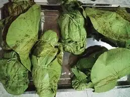 Hình ảnh 1 con gà vườn nướng bọc lá sen