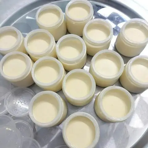 Hình ảnh MinMon Yogurt - Sữa Chua Nhà Làm - Mã Lò