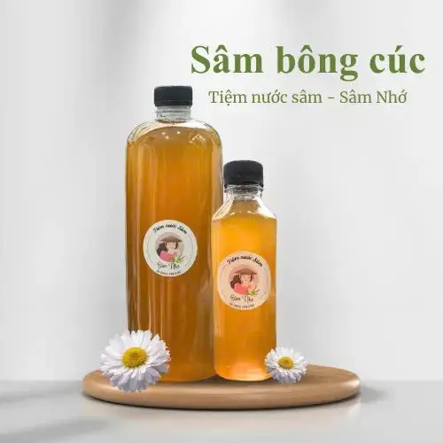 Hình ảnh Sâm bông cúc