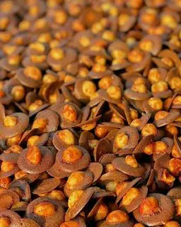 Hình ảnh Cookie socola macca - hộp 100gr