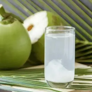Hình ảnh Dừa ly - dừa xiêm Bến Tre