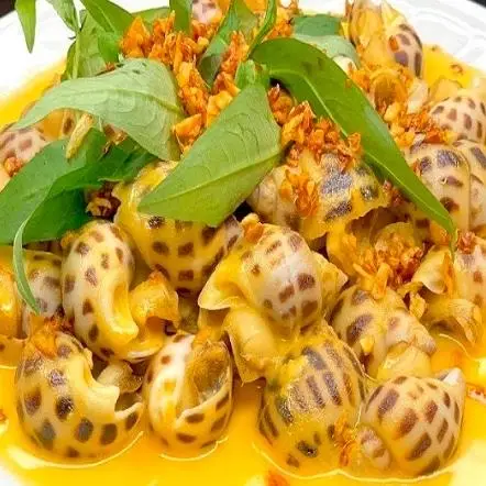 Hình ảnh ỐC BÌNH DÂN - Dân Công Hỏa Tuyến