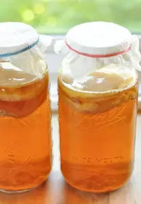 Hình ảnh Trà kombucha vị thơm
