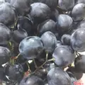 Hình ảnh Nho