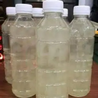 Hình ảnh Nha đam
