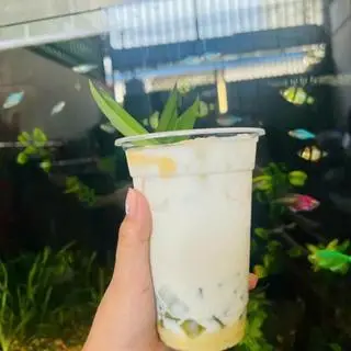Hình ảnh Sữa dừa đậu xanh