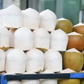 Hình ảnh Dừa xiêm mã lai ướp lạnh