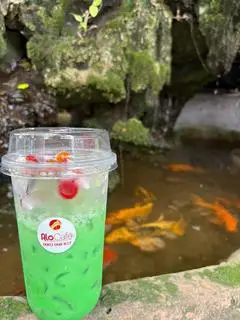 Hình ảnh Sâm dứa tuổi thơ