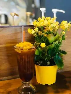 Hình ảnh Trà đào - miếng đào - đào dằm