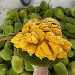 Hình ảnh Mít tố nữ