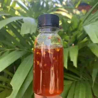 Hình ảnh Sốt tắc