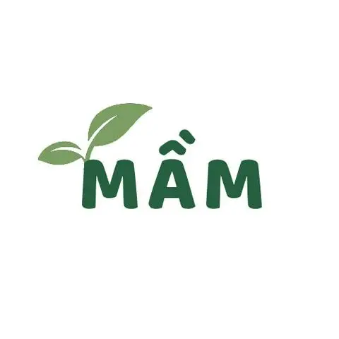 Hình ảnh Mầm - Huỳnh Tấn Phát