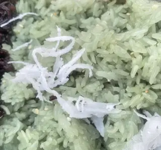 Hình ảnh Xôi lá dứa