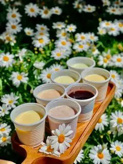 Hình ảnh Yaourt mix vị trái cây tươi - Lốc 10 hũ