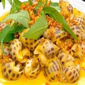 Hình ảnh Quán Ốc 71 - Thế Lữ