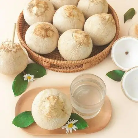 Hình ảnh Dừa Xiêm - Đường D16
