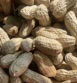 Hình ảnh Đậu phộng luộc