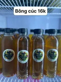 Hình ảnh Trà giải nhiệt bông cúc