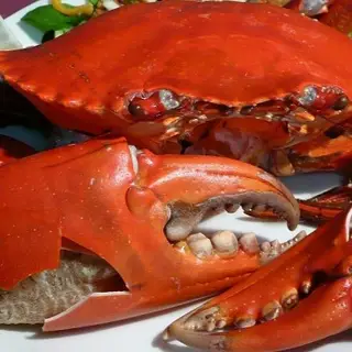 Hình ảnh Cua gạch - size khủng