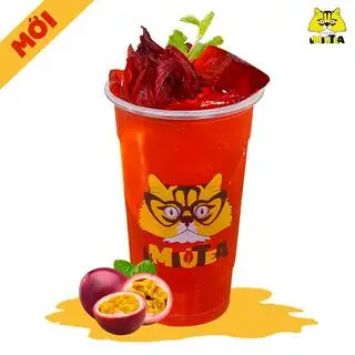Hình ảnh Hibiscus Chanh Dây - Size L