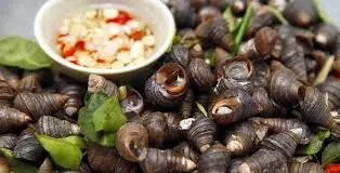 Hình ảnh Ốc nhỏ luộc mắm
