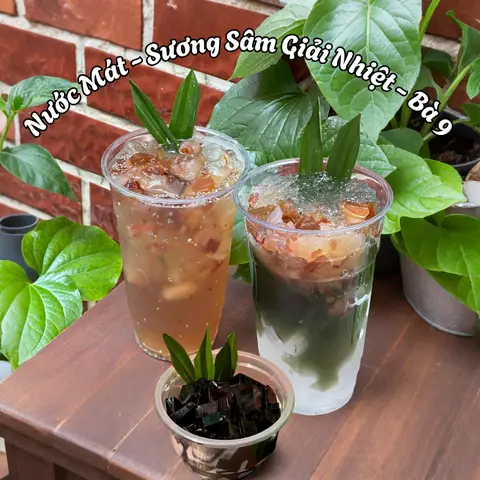 Hình ảnh Nước Mát & Sương Sâm Giải Nhiệt Bà 9 - Trần Phú