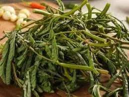 Hình ảnh Rau nhúc - điên điển