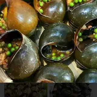 Hình ảnh Ốc bươu nướng tiêu xanh