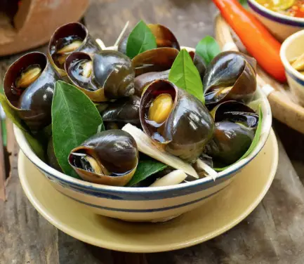 Hình ảnh Ốc mít luộc