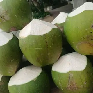Hình ảnh Giải khát - trái lạnh