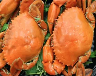 Hình ảnh Cua gạch - size to vừa