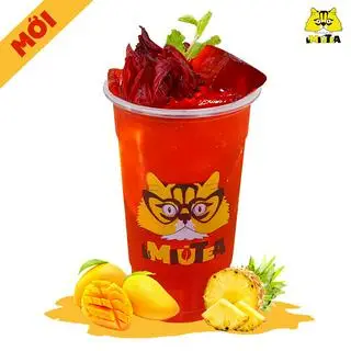 Hình ảnh Hibicus Xoài Thơm - Size L