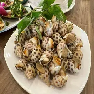 Hình ảnh Ốc hương luộc