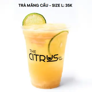 Hình ảnh Trà mãng cầu - size L
