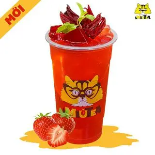 Hình ảnh Hibiscus Dâu Tây - Size L