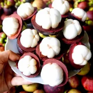 Hình ảnh Khay măng cụt khoanh vỏ